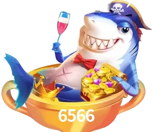 6566