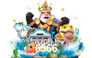 6566